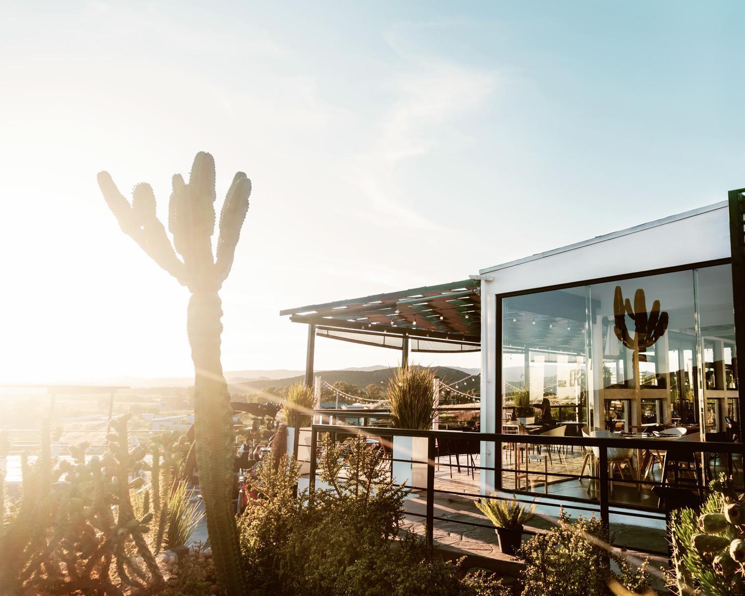 La Cima Del Valle Valle de Guadalupe Zewnętrze zdjęcie